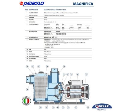 PEDROLLO Magnifica 5 de 3 HP - Bomba para piscinas